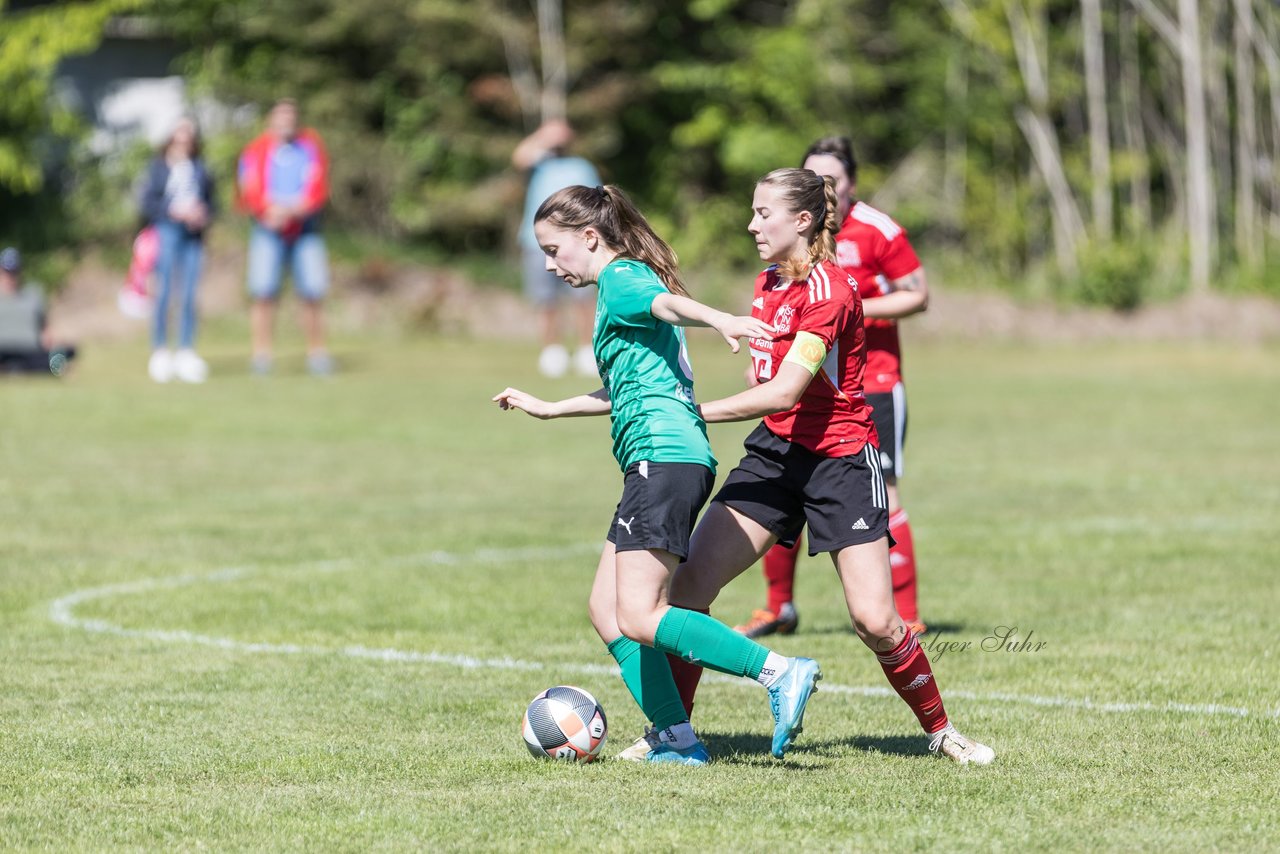 Bild 318 - F SG NieBar - IF Stjernen Flensborg : Ergebnis: 2:0